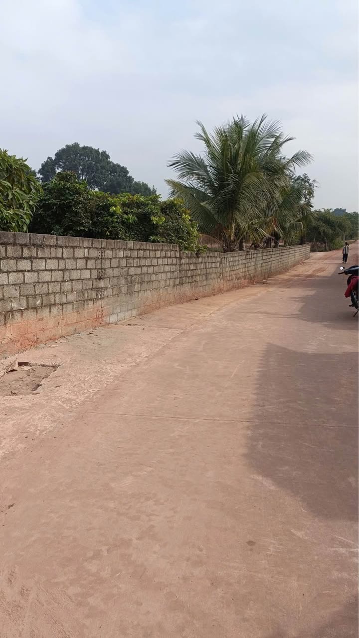 Đất nền Tân Thanh Lạng Giang 1087m² giá 4 tỷ - Mặt tiền dài, vị trí đắc địa!