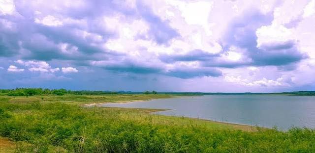 Đất nền 3 sào 55m mặt tiền đường nhựa - Cơ hội đầu tư tuyệt vời tại Bàu Lâm