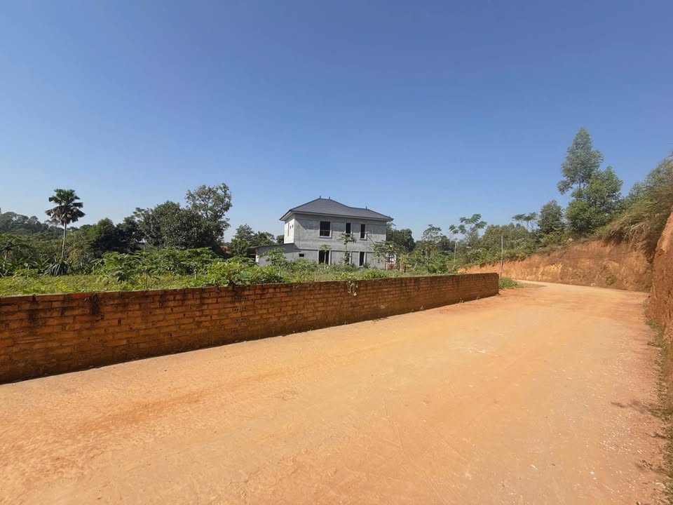 Đất nền khu 1 Thanh Đình Ba Vì 98.5m² - Sẵn sàng xây dựng!