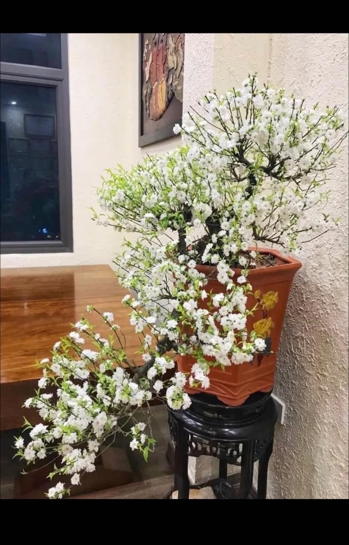 Đất nền 3700m² tại Yên Bài, Ba Vì - Giá chỉ 14.8 tỷ, cơ hội đầu tư tốt!