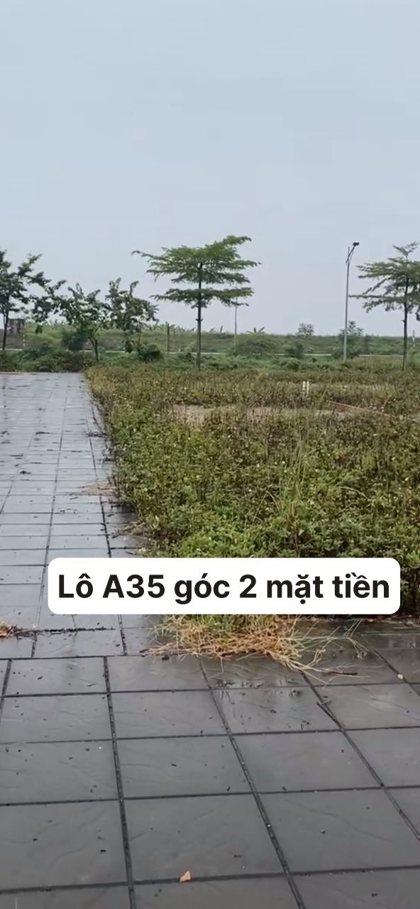 Đất nền lô góc 2 mặt tiền Dân Quyền Tam Nông 80m² - Giá đầu tư hấp dẫn!