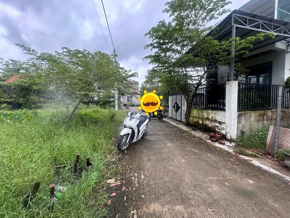 Đất tái định cư Hòa Phong Đà Nẵng 146,5m² giá 1,4 tỷ - Sổ đỏ chính chủ!