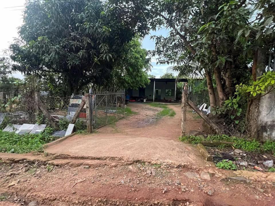 Nhà đất Ia Tô, Ia Grai 1000m² giá 600 triệu - Cách nhà thờ chỉ 500m!