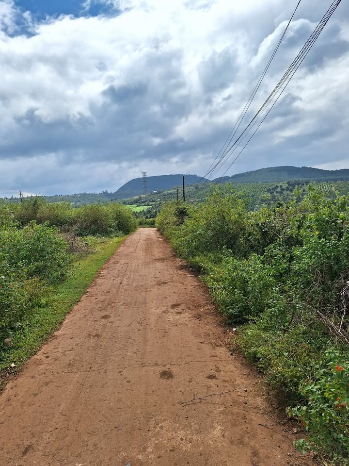 Lô đất Hội Phú, Pleiku 1928m² giá 1.1 tỷ - VIEW RUỘNG tuyệt đẹp!