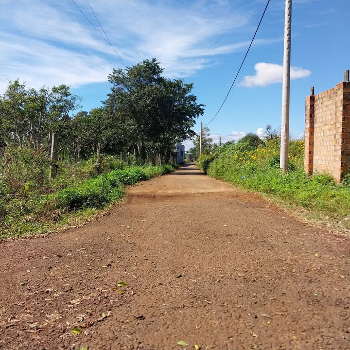 Đất nền Biển Hồ 300m² giá 980 triệu - Đầu tư sinh lời ngay!