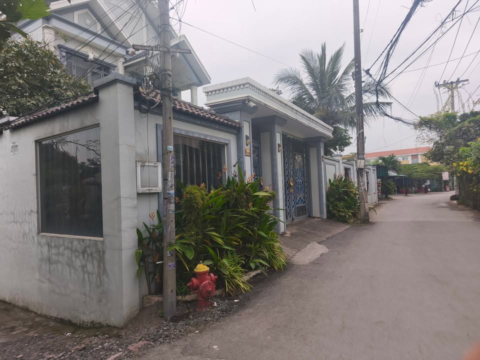 Đất vườn Tân Kiên, Bình Chánh 1063m² giá 7.44 tỷ - Cơ hội đầu tư hấp dẫn!