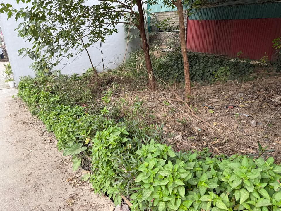 Đất Thượng Cát 59m² giá 7 tỷ - Ô tô đỗ cửa, vị trí đắc địa!