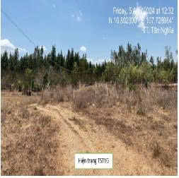 Đất ODT 1402m² mặt đường QL 55 - Tân Nghĩa, Hàm Tân - Vị trí đắc địa kết nối nhanh