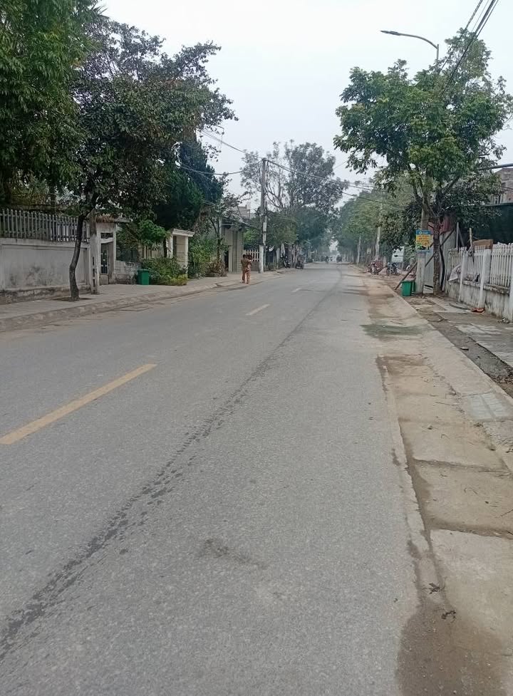 Đất nền Tỉnh Lộ 517, phường Đông Quang, 132m² - Kinh doanh thuận lợi!