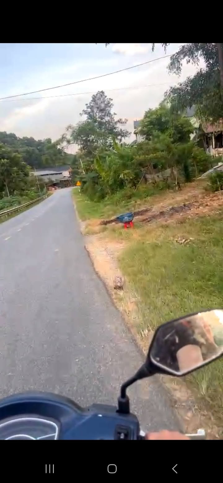 Đất thổ cư mặt Quốc lộ 32C, xã Kiệt Sơn, 648m² giá chỉ 1.75 tỷ - Cơ hội đầu tư hiếm có!