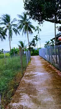 Đất nền mặt tiền 5m tại An Phú, Quảng Ngãi - Giá chỉ 800 triệu!