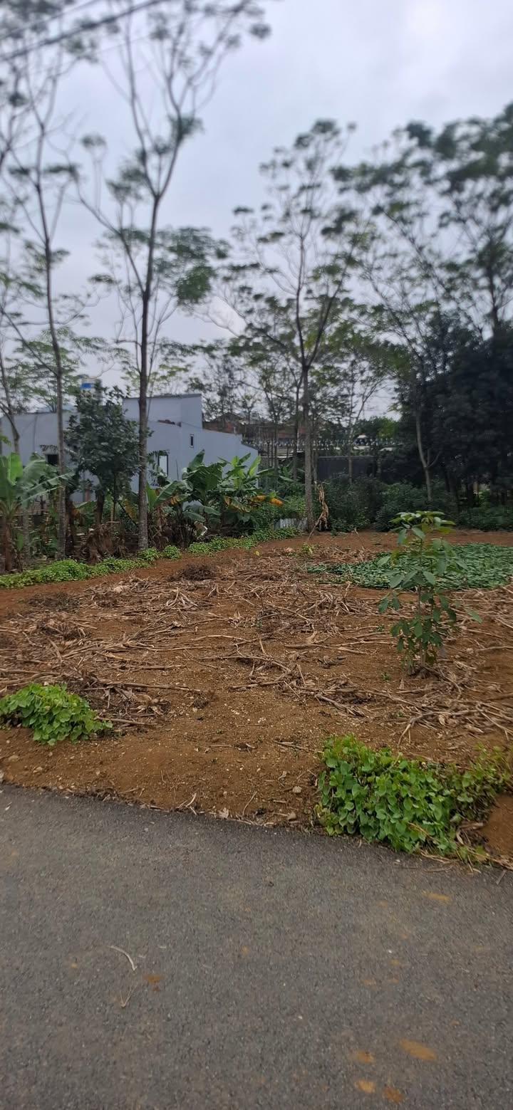 Đất nền Trung Sơn, Tam Điệp 100m² giá 1.2 tỷ - Cơ hội đầu tư tuyệt vời!