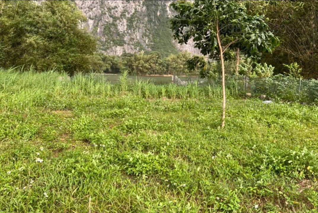 Đất nền Trần Phú, Chương Mỹ 1052m² giá 4.21 tỷ - Cơ hội đầu tư hiếm có!