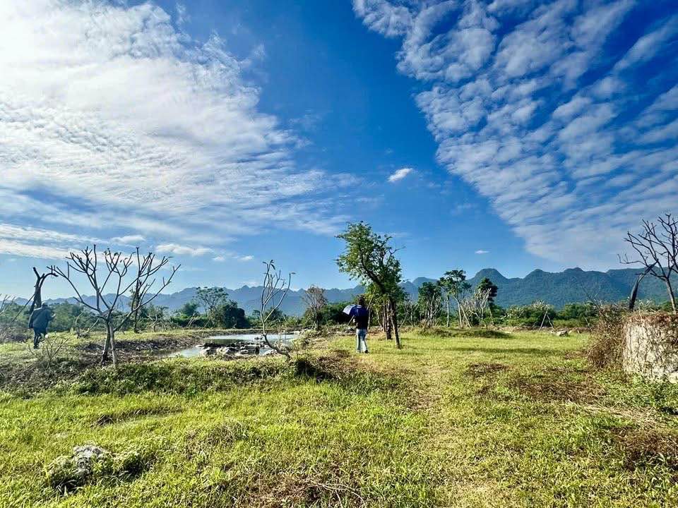 Đất Farm 7331m² tại Yên Trị, Yên Thủy chỉ 3 tỷ - Sổ đỏ chính chủ sang tên ngay!