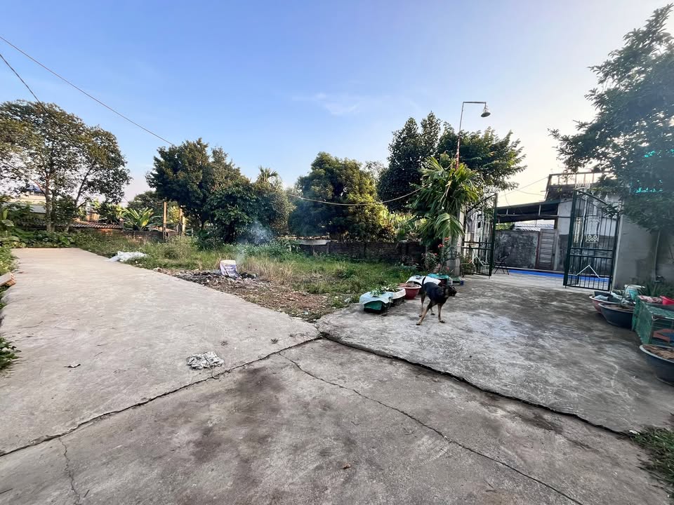 Đất nền Tái Định Cư Tân Long 88m² giá 900 triệu - Cơ hội đầu tư hấp dẫn!