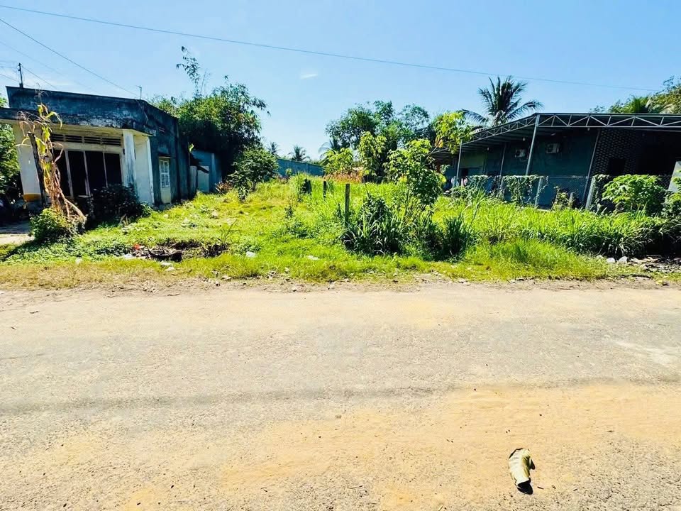 Đất Mặt Tiền Đường Hòa Hội, Xã Châu Thành, Tây Ninh 222m² - Giá Chỉ 275 Triệu!