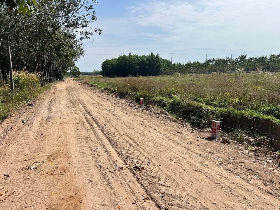 Đất nền 240m² tại xã Thạnh Bình, Tây Ninh chỉ 125 triệu - Sổ đỏ đầy đủ, công chứng ngay!