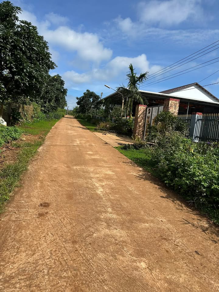 Đất nền 2 mặt tiền Ea Tân 504m² giá 400 triệu - Cơ hội đầu tư tuyệt vời!