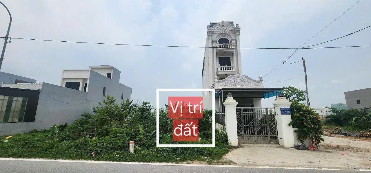 Đất nền mặt đường 203 Lâm Động Thủy Nguyên 250m² giá 4 tỷ - Đầu tư sinh lời hấp dẫn!