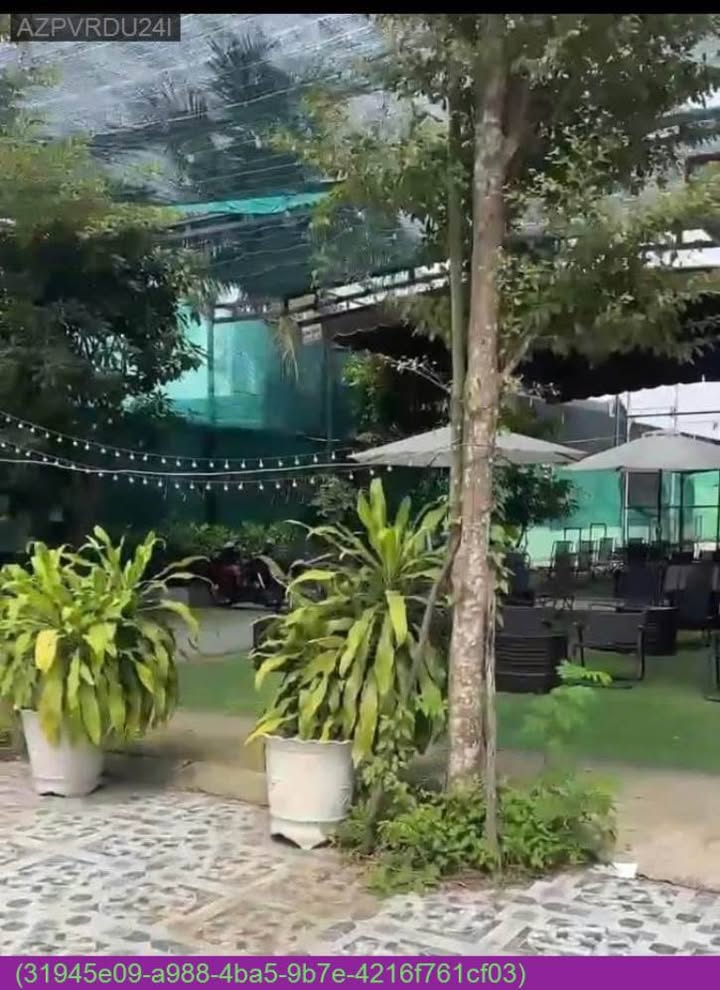 Đất mặt tiền Trần Văn Giàu 1.000m² giá thỏa thuận - Cơ hội đầu tư sinh lời cao!