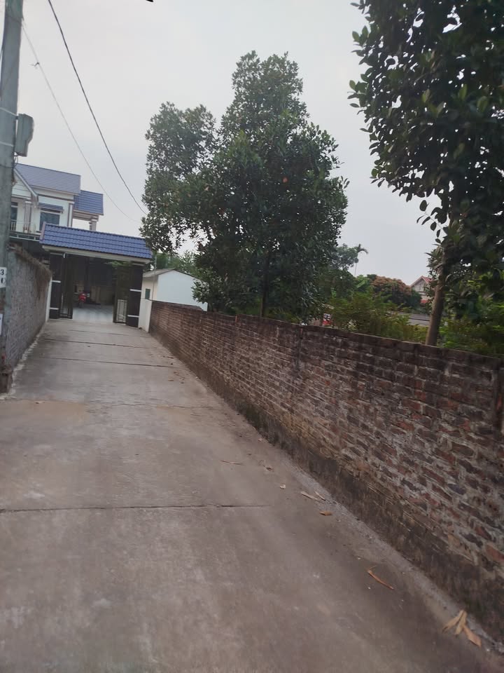 Đất nền tại xã Quảng Oai, Ba Vì 210m² - Đầu tư sinh lời ngay!