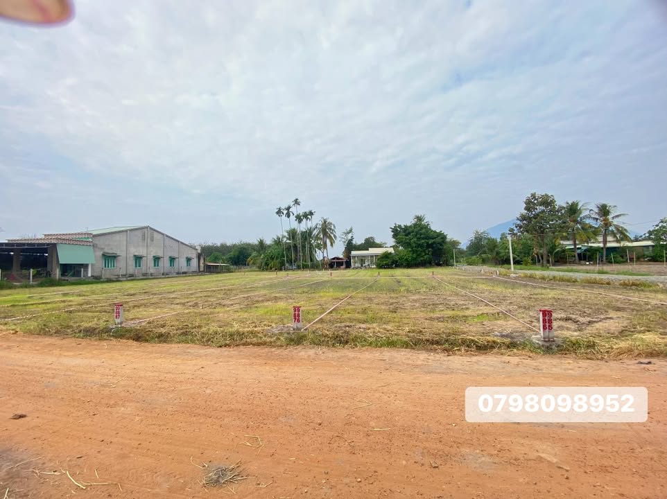 Đất nền Suối Đá Dương Minh Châu 110m² giá 299 triệu - Đầu tư sinh lời ngay!