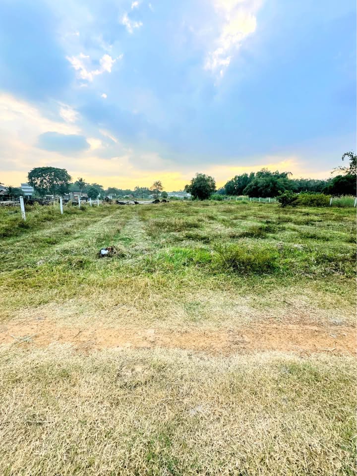 Đất 180m² ấp Bến Cừ, Ninh Điền, Tây Ninh - Giá chỉ 210 triệu, Đường ô tô vào tận nơi!