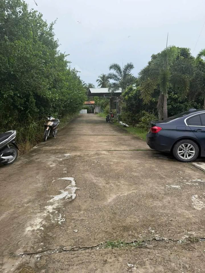 Đất mặt tiền view sông 6.000m² tại Phường An Hội - Giá chỉ 15 tỷ VND