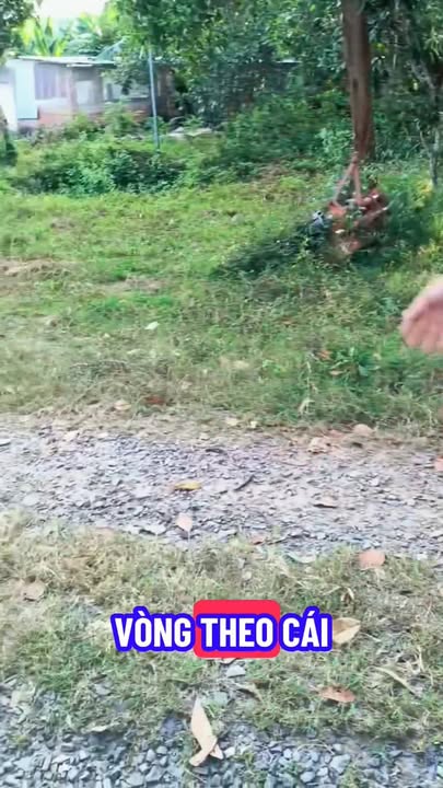 Đất vườn trái cây Ngọc Định 9300m² giá 236 triệu - Đầu tư lý tưởng!