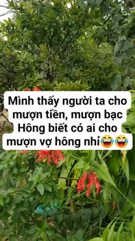 Đất nền 2 mặt tiền đường bê tông Trường An 1, Hoài Thanh 230m² - Giá chỉ 500 triệu!