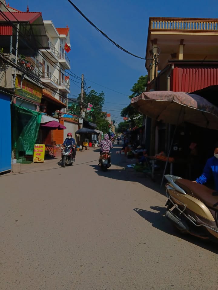 Đất Đẹp Cổ Loa 80m² giá 4.5 tỷ - Vị trí vàng, ô tô vào tận nơi!