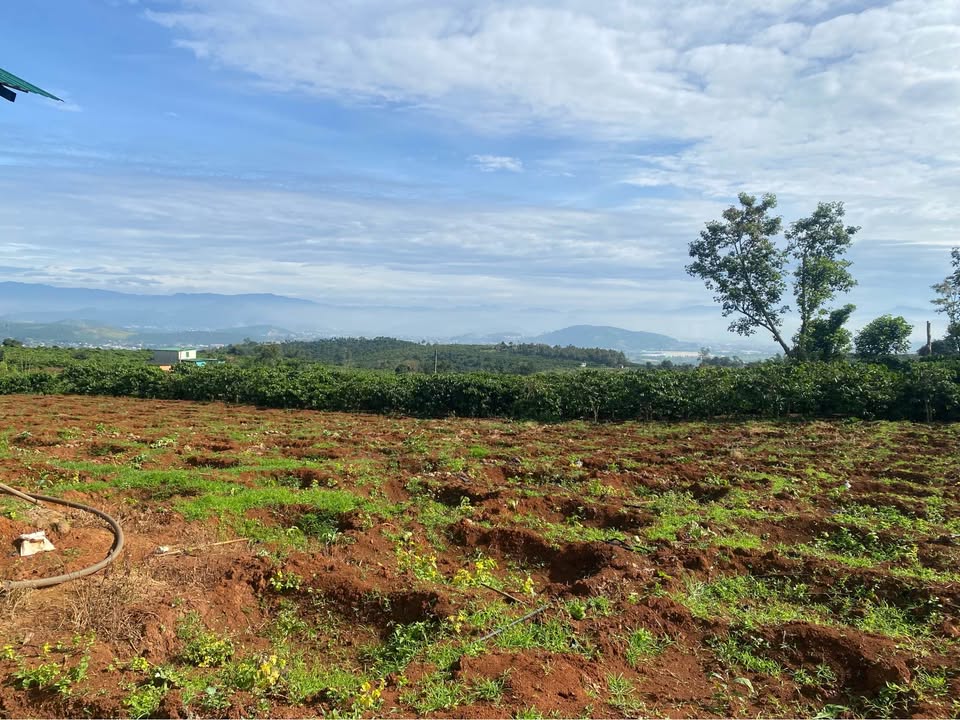 Đất Tân Hà Lâm Hà 6300m² giá 630 triệu - Mặt tiền đường, view đẹp!