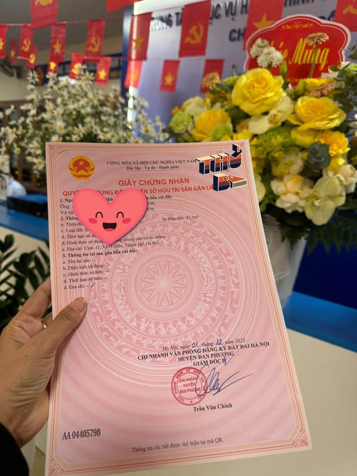 Đất kinh doanh Tân Lập Đan Phượng 81m² - Giá mềm như bún!