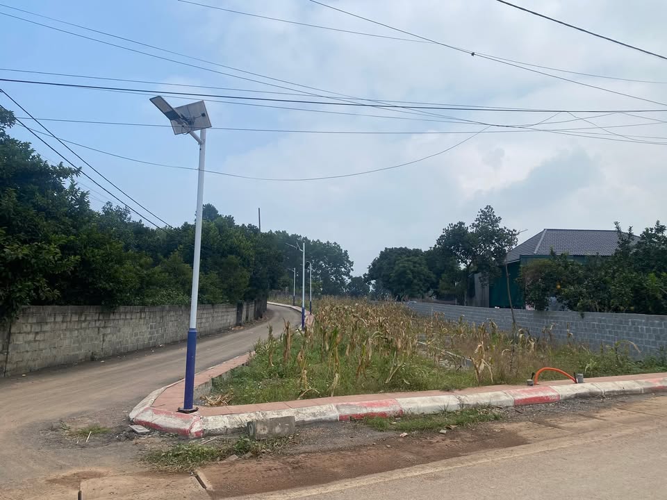 Đất nền lô góc 90m² tại An Nghĩa, Hạ Hòa giá 1 tỷ - Cơ hội đầu tư sinh lời!