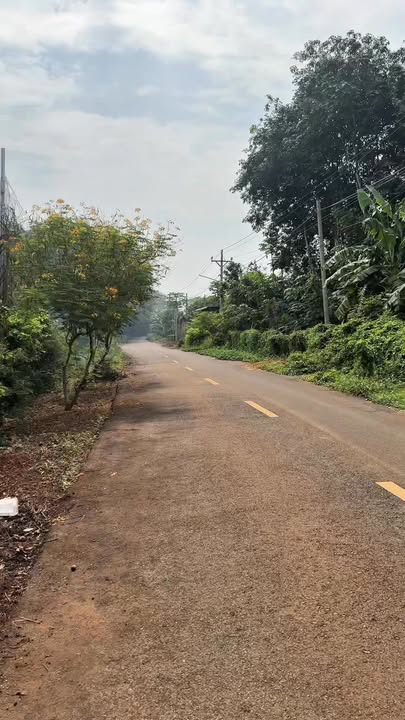 Đất nền 1,1 sào mặt tiền đường nhựa 90 Long Phước, Bà Rịa - 3,95 tỷ