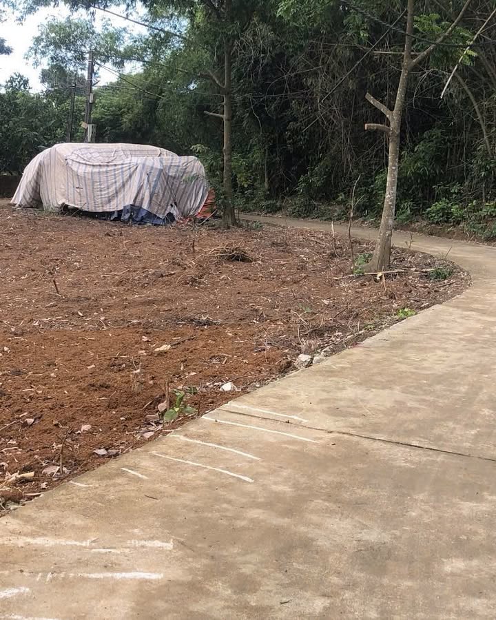 Đất nền Tân Xã - Hòa Lạc 200m² giá thỏa thuận - Tiềm năng sinh lời vượt trội!