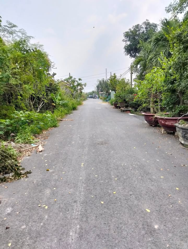 Farm đất vườn Bình Mỹ, Củ Chi 1200m² giá 4.5 tỷ - Cơ hội đầu tư hấp dẫn!