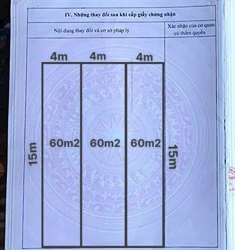Đất nền Tân Vũ - Tràng Cát 60m² giá chỉ 2.4 tỷ - Cơ hội đầu tư sinh lời!