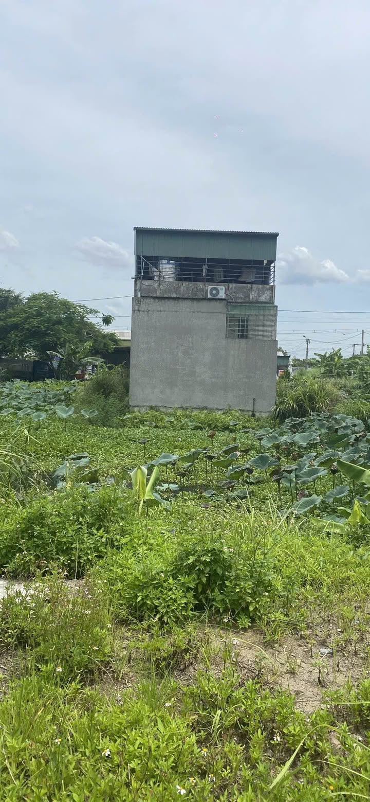 Đất nền Khu đô thị Phong Sơn Thanh Bình Ninh Bình 114m² giá 4 tỷ - Đường lớn thông thoáng!