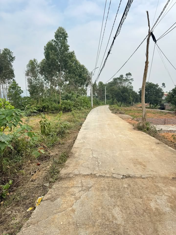 Đất nền Xuân Hòa, Lập Thạch 2045m² giá rẻ - Cơ hội đầu tư không thể bỏ lỡ!