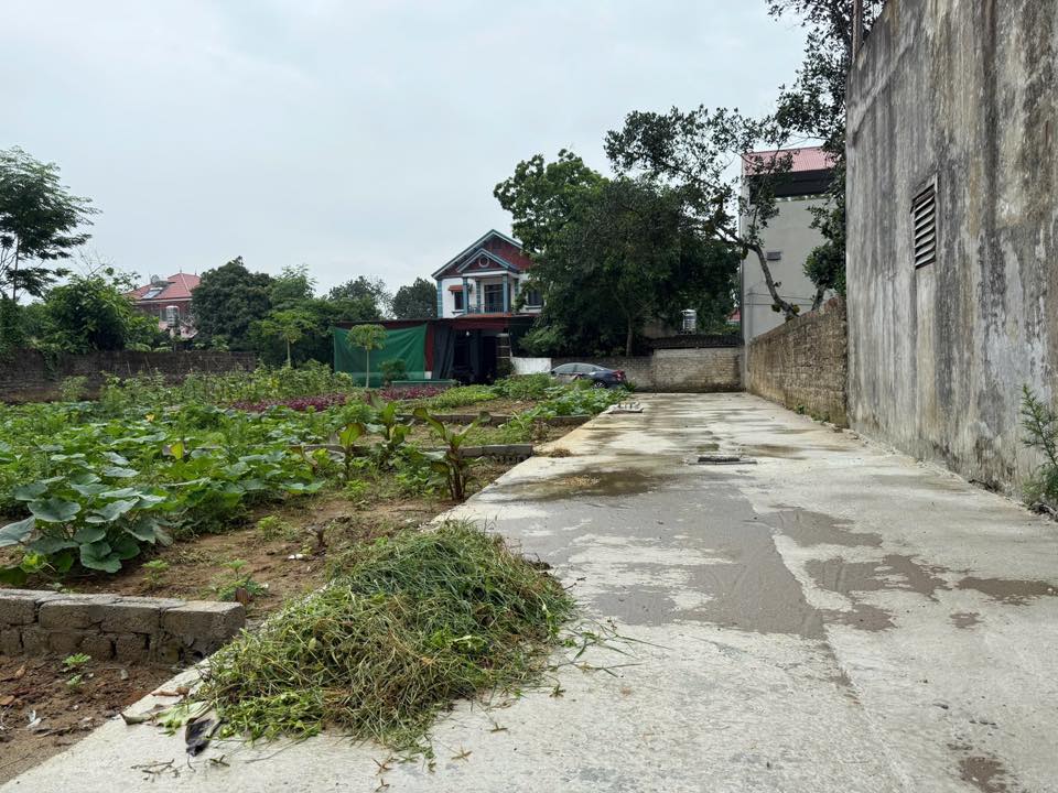 Đất nền Tdp Việt Hùng, Hiệp Hoà 100m² giá 800 triệu - Đầu tư sinh lời ngay!