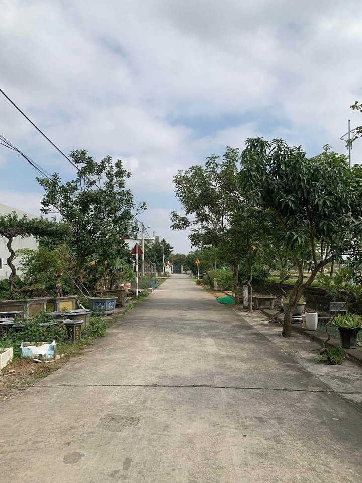 Đất phân lô Ninh An, phường Nam Hoa Lư 135m² - Vị trí đẹp, giá tốt!