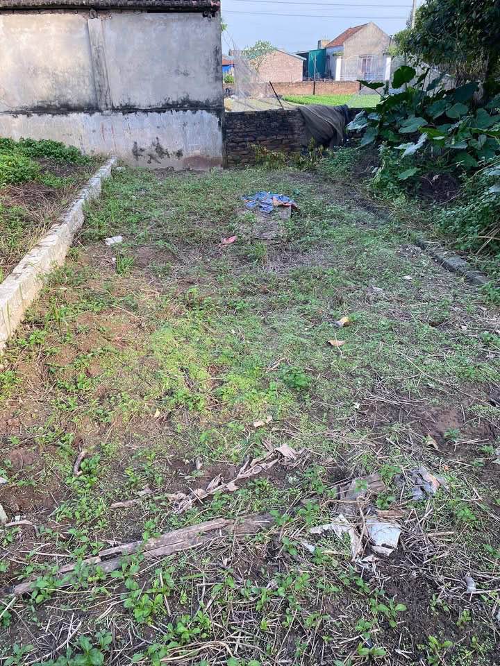 Đất nền Thư Dương, Thường Tín 41.8m² giá 2.7 tỷ - Đường rộng, xe vào tận nơi!