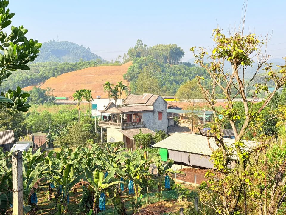 Đất nông nghiệp Tiêu Sơn Đoan Hùng 3000m² - Gần cao tốc Phú Thọ-Tuyên Quang!