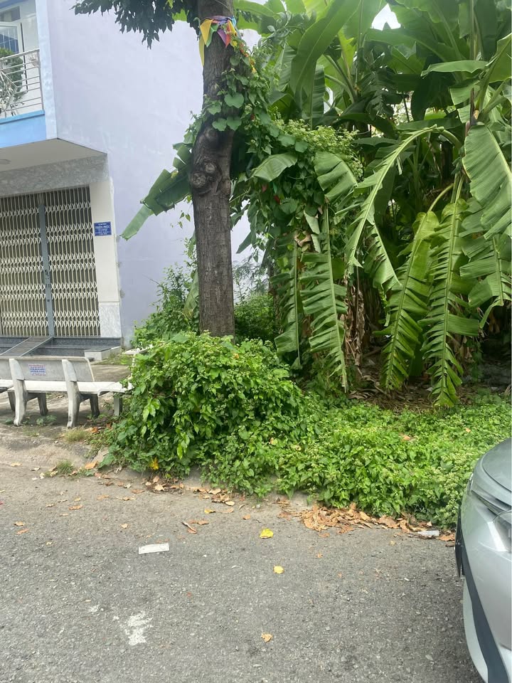 Đất liền kề 72m² phường 6 Tân An chỉ 2.4 tỷ - Vị trí đắc địa gần trường Anh ngữ!