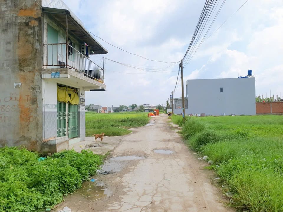 Đất thổ cư Bình Tiền 2, KCN Tân Đức 420m² giá 4.2 tỷ - Sổ đỏ chính chủ!