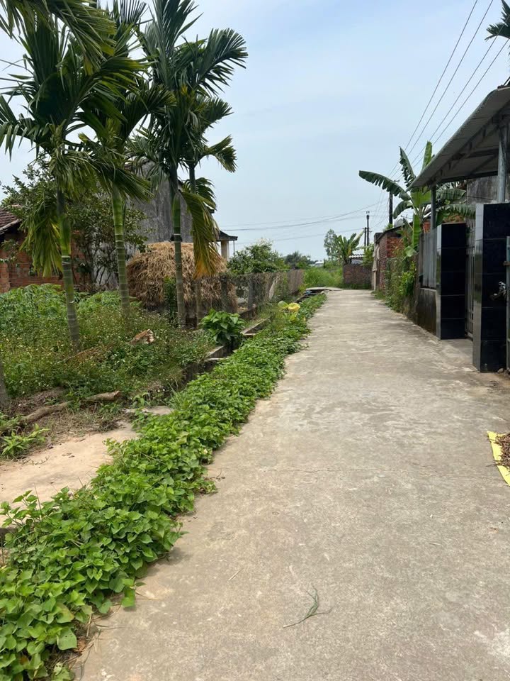 Đất thổ cư Tịnh Phong, Sơn Tịnh 165m² giá 650 triệu - Ngay gần chợ và KCN VSIP!