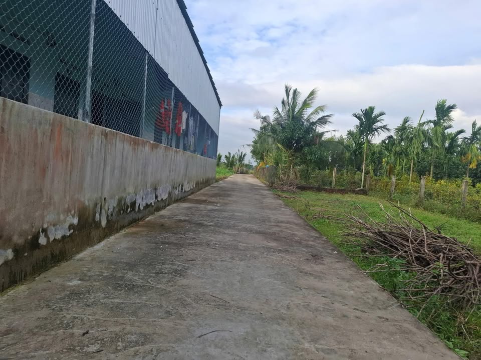 Đất nền Tịnh Phong Sơn Tịnh 125m² giá chỉ 1.5 tỷ - Cơ hội đầu tư hiếm có!