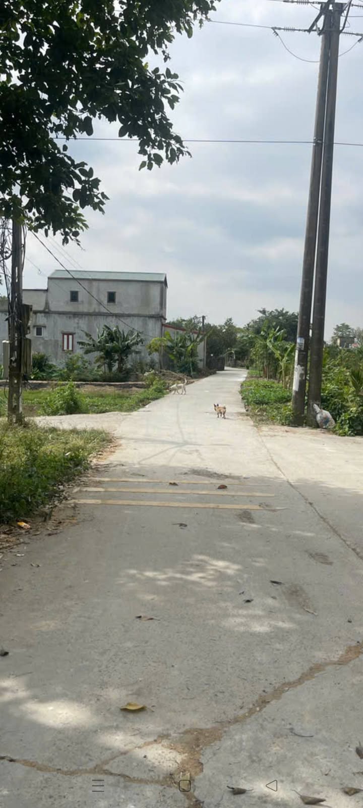 Đất nền thôn Lời Triệu, xã Hiển Khánh 150m² giá 1.3 tỷ - Sổ đỏ chính chủ!