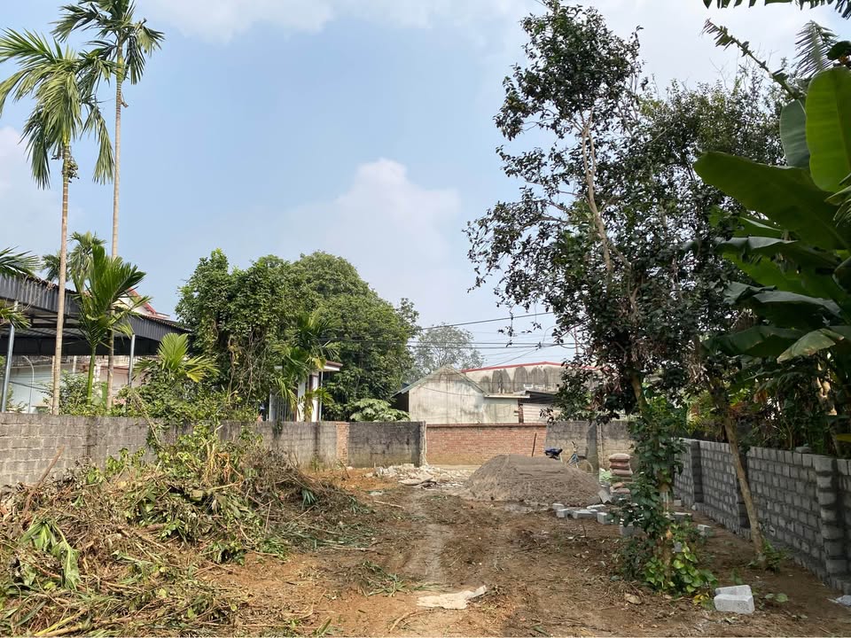 Đất nền Lương Sơn, Phú Thọ 339m² giá 4 tỷ - Sổ đỏ chính chủ, công chứng ngay!